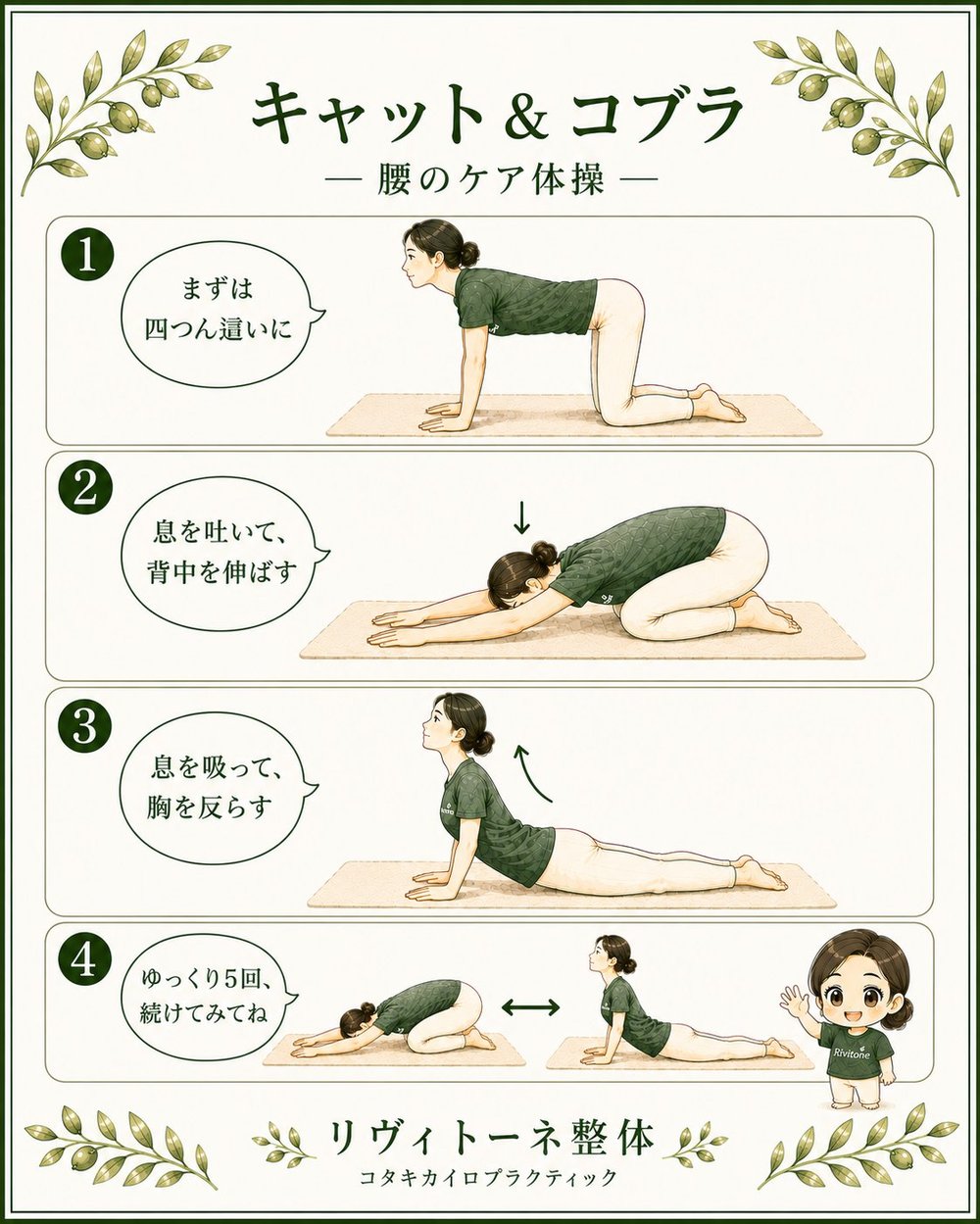 キャット＆コブラ 4ステップ完成図