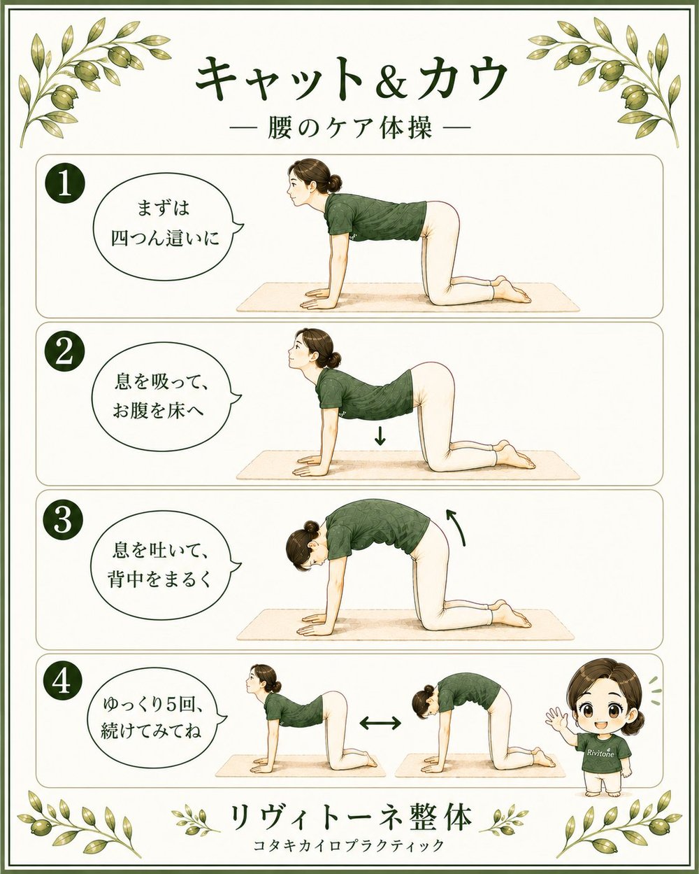 キャット＆カウ 4ステップ完成図
