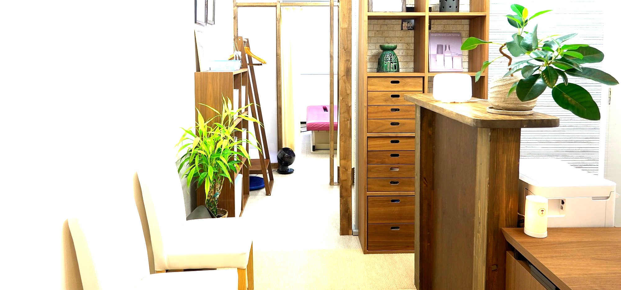 コタキカイロプラクティックセンター院内